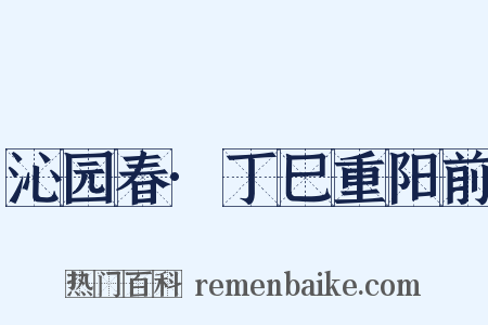 沁园春·丁巳重阳前是什么意思的图片